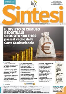 Copertina della Rivista Sintesi - Novembre 2022